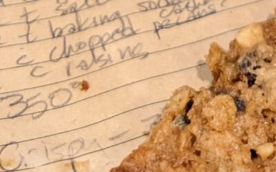 Oatmeal Raisin Cookies